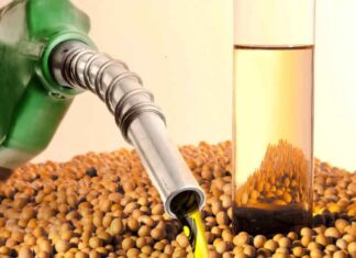 Arce: Ya se desarrolla ingeniería de la planta HVO BIODIESEL