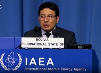 Bolivia ante la OIEA presenta avances de su programa nuclear MOLINA OIEA