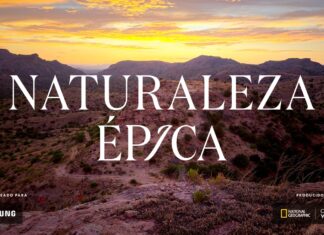 Samsung estrena el minidocumental “Naturaleza Épica” samsung-naturalezza