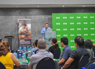 Véndele a la mente y no a la gente: BNB impulsa ciclo de talleres enfocados en neuromarketing bnb-cursos-neuromarketing-