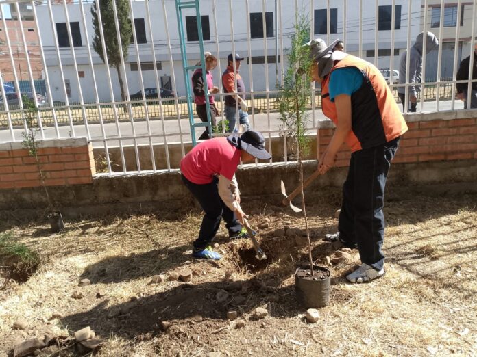 campañas-ecolimpieza-forestacion-llegan-nuevamente-ciudad-el-alto-remozar-mirador-virgen-blanca