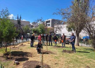 En su mes aniversario, La Paz se embellece con las campañas de Ecolimpieza y Forestación de Banco Ecofuturo mes-aniversario-la-paz-embellece-ecolimpieza-forestacion-banco-ecofuturo