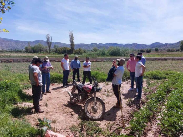 ecofuturo-apuesta-por-cochabamba-ahorristas-pasan-45-mil-clientes