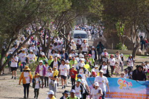 caminando-por-la-vida-la-paz-