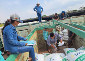 EMAPA entrega más de 520 toneladas de semilla de arroz a pequeños y medianos productores de Santa Cruz emapa-entrega-520-toneladas-semilla-arroz-santa-cruz-