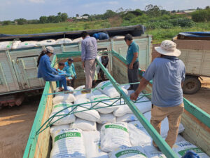 emapa-entrega-520-toneladas-semilla-arroz-santa-cruz