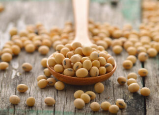 Beneficios de la Soya y la Ciencia detrás de los Fitoestrógenos beneficios-Soya-ciencia-detras-fitoestrogenos-herbalife