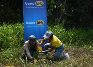 Pulmones Banco BISA llegan a la Amazonía pulmones-banco-bisa-llegan-a-amazonia-