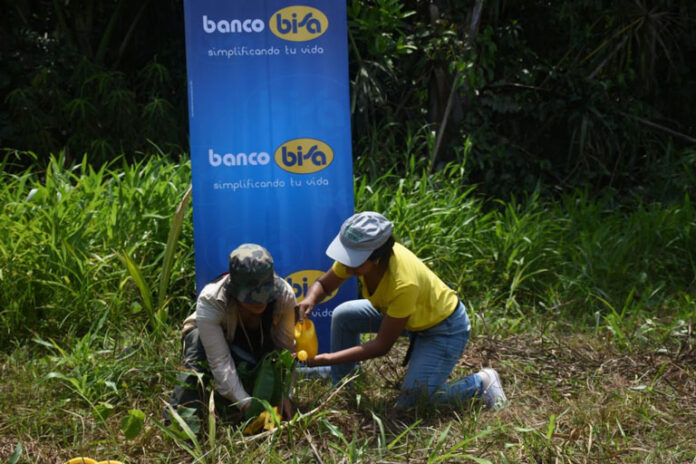 pulmones-banco-bisa-llegan-a-amazonia-