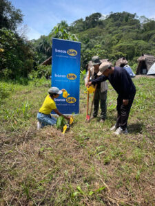 pulmones-banco-bisa-llegan-a-amazonia