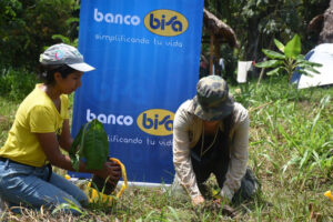 pulmones-banco-bisa-llegan-a-la-amazonia