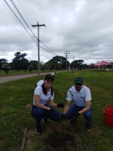 banco-ganadero-colabora-con-ecosector-para-plantar-150-arboles-