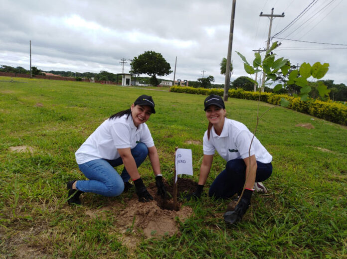 banco-ganadero-colabora-con-ecosector-para-plantar-150-arboles-de-tajibo