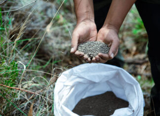 La planta productiva de EMBOL Cochabamba transforma lodo residual en abono orgánico para Reforestación planta-productiva-embol-cochabamba-transforma-lodo-residual-abono-organico-reforestacion-
