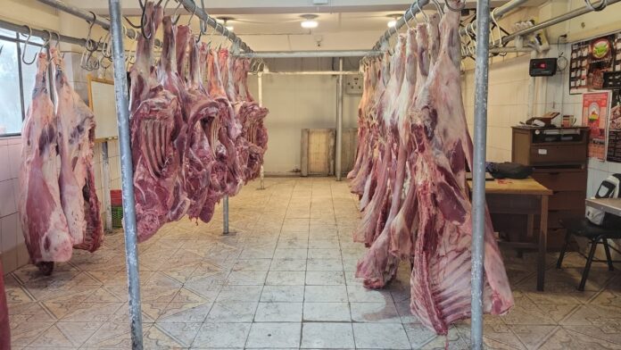 emapa-inicia-venta-de-carne-res-bs-34-kilo-gancho
