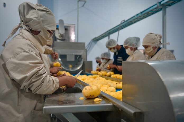 planta-transformacion-de-papa-en-el-alto-muestra-funcionamiento