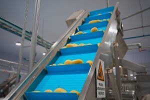 planta-transformacion-de-papa-en-el-alto-muestra-funcionamiento-descarta-rumores-