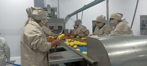 planta-transformacion-de-papa-en-el-alto-muestra-funcionamiento-descarta-rumores