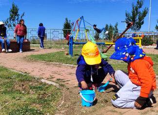 Celebrando el Día del Niño y Niña, Ecofuturo llegó con sus campañas de Ecolimpieza y Forestación hasta el Mirador de Alpacoma celebrando-dia-del-niño-niña-ecofuturo-llego-con-campañas-ecolimpieza-forestacion-