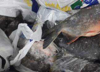 EMAPA te invita a disfrutar de nuestros frescos pescados esta Semana Santa emapa-invita-disfrutar-nuestros-frescos-pescados-esta-semana-santa-