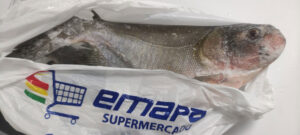 emapa-invita-disfrutar-nuestros-frescos-pescados-esta-semana-santa