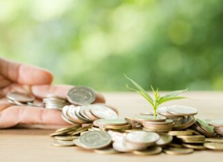 Finanzas sostenibles: cuatro estrategias para ahorrar y proteger el planeta finanzas-sostenibles-cuatro-estrategias-para-ahorrar-y-proteger-el-planeta-