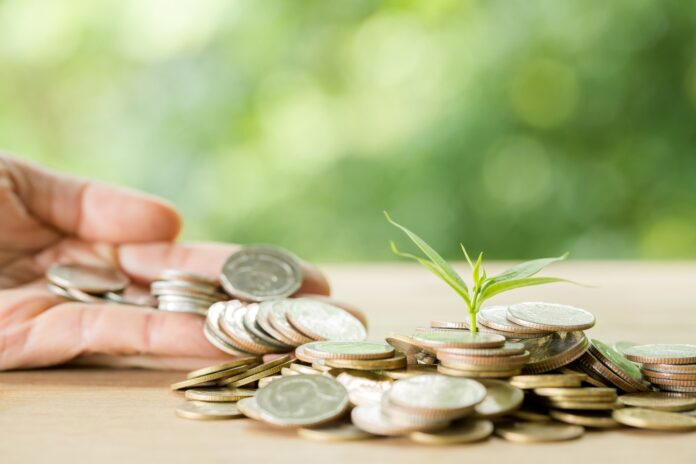 finanzas-sostenibles-cuatro-estrategias-para-ahorrar-y-proteger-el-planeta-