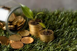 finanzas-sostenibles-cuatro-estrategias-para-ahorrar-y-proteger-el-planeta