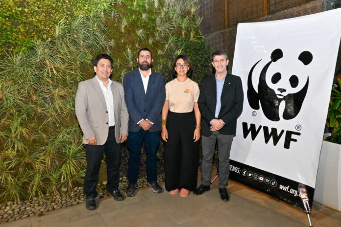 pantanow-una-alianza-trinacional-para-proteger-el-pantala-