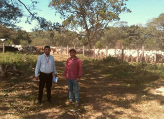 Ecofuturo apuesta por una Santa Cruz productiva y visionaria ecofuturo-apuesta-por-una-santa-cruz-productiva-y-visionaria