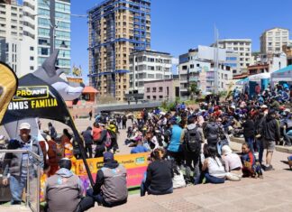 La Paz se suma a la Nación ProAni: una jornada solidaria por el bienestar animal la paz-se-suma-a-nacion-proani-una-jornada-solidaria-bienestar-animal