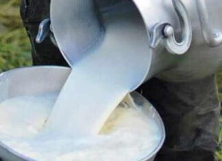 77.000 unidades productivas dedicadas a la PRODUCCIÓN DE LECHE 77000-unidades-productivas-dedicadas-a-PRODUCCION-DE-LECHE-