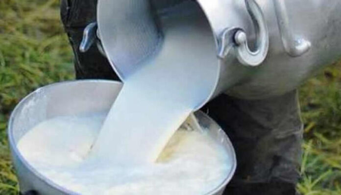 77000-unidades-productivas-dedicadas-a-PRODUCCION-DE-LECHE-