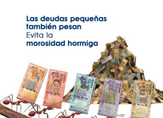 La morosidad hormiga: pequeños montos que requieren atención para cuidar la salud financiera la-morosidad-hormiga-pequeños-montos-que-requieren-atencion-para-cuidar-salud-financiera