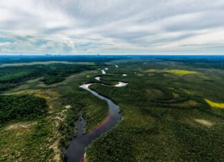 CAF destinará USD 40.000 millones en los próximos cinco años para impulsar el crecimiento verde