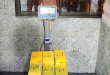 Interdicción antidroga golpea rutas y centros de producción con incautaciones y destrucción de fábricas