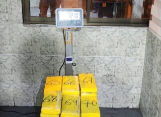 Interdicción antidroga golpea rutas y centros de producción con incautaciones y destrucción de fábricas