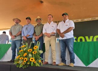Con la liberación de la soya HB4, Bolivia da paso tecnológico para ubicar al país entre los mayores productores del mundo