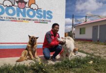 Medio centenar de mascotas del Distrito 1 ya fueron esterilizadas por Zoonosis