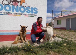 Medio centenar de mascotas del Distrito 1 ya fueron esterilizadas por Zoonosis