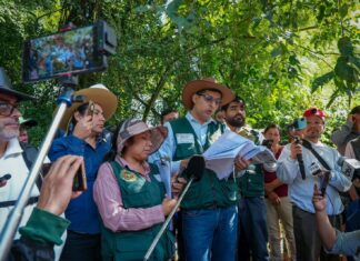 Inspección judicial de DOMO OSO-X3 constató que el proyecto está fuera de la Reserva de Tariquía