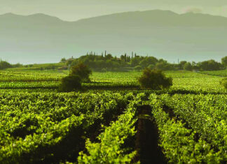 FONABOSQUE cofinancia el proyecto de la FAO que apoya a 65 municipios para enfrentar la sequía y fenómenos climáticos