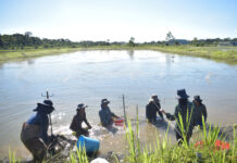 EMAPA impulsa la producción piscícola en el Trópico con insumos de calidad y precios justos