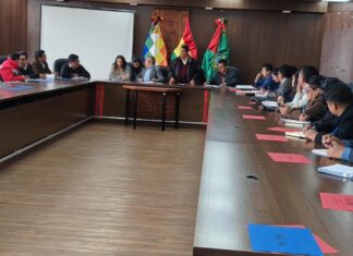 Terminal Metropolitana de El Alto garantiza acceso a información en la transición municipal
