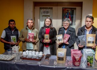Productores bolivianos de té verde y rojo triunfan en certamen artesanal de Sudamérica