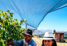 El BDP impulsa la acción climática mediante soluciones de finanzas sostenibles